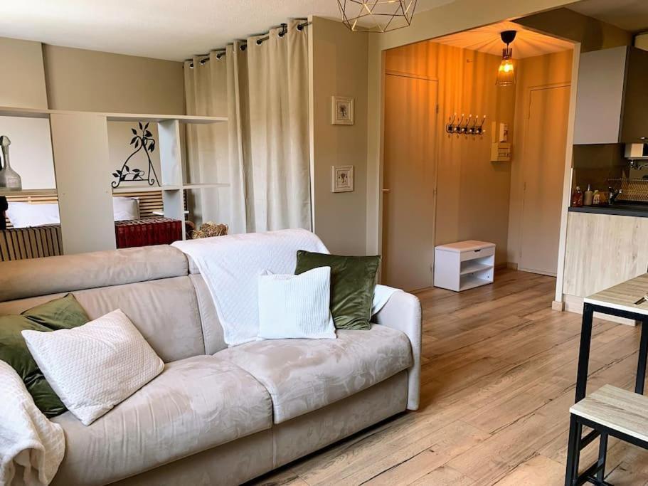 Appartement Cosy Proche Centre Draguignan Dış mekan fotoğraf